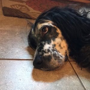 Meet your Posher, Jen